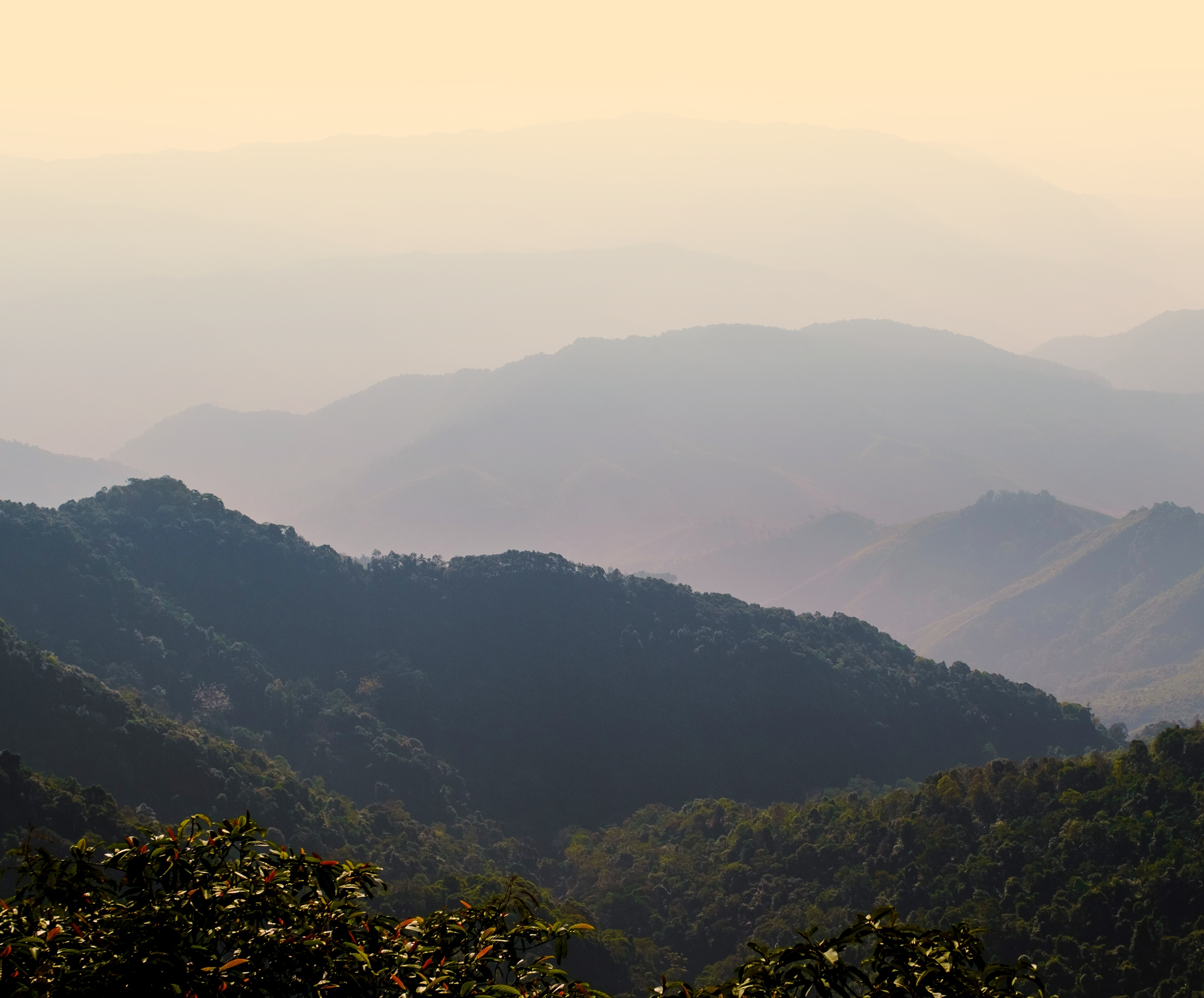 Banner Giới thiệu
